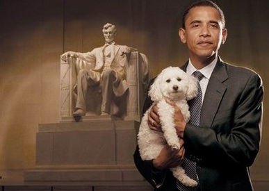 CBH COMMUNICATIONS OBAMA DOG ADOPTION